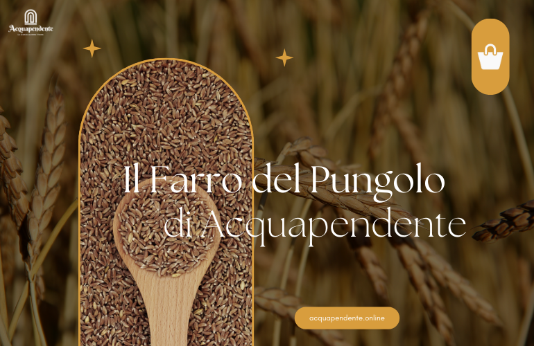 Prodotto tipico: Il farro del Pungolo di Acquapendente