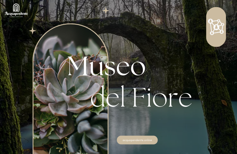 Scopri il Museo del Fiore nella Riserva Naturale Monte Rufeno