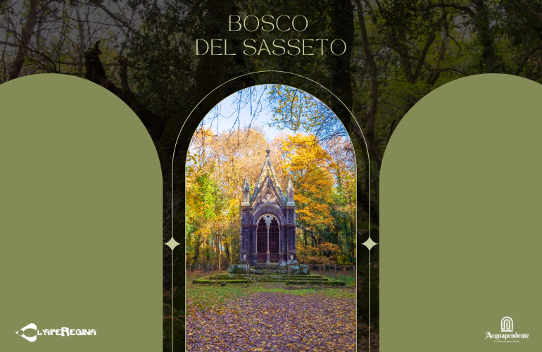 Alla scoperta del Bosco del Sasseto, il bosco incantato della Tuscia