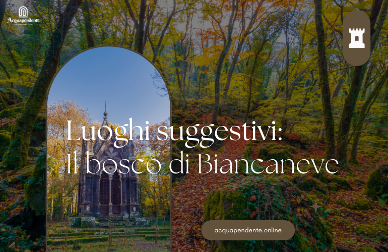 Scopri il Bosco Incantato di Biancaneve: Il Bosco del Sasseto