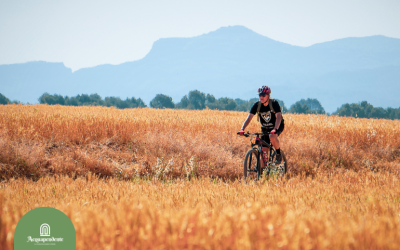 Pista Ciclabile Bartali: Un Viaggio nella Natura di Acquapendente