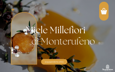 Il Miele di Monte Rufeno: Un Nettare Puro dalla Natura