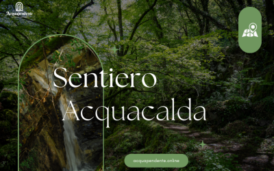 Sentiero Acquacalda: Un Cammino tra Natura e Tradizione