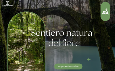 Sentiero Natura del Fiore: Un Viaggio tra Biodiversità e Storia