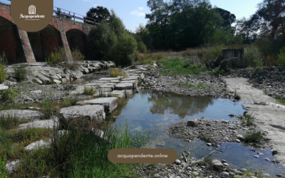 Il Tesoro Sotterraneo di Ponte del Rigo: Mito o Realtà?