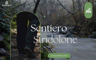 Sentiero Stridolone – Un Viaggio tra Natura e Borgo Medievale di Proceno