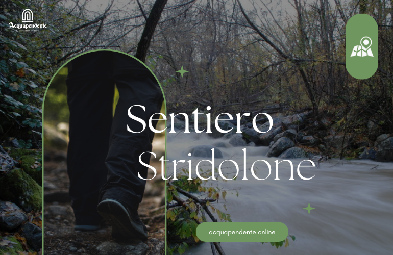 Sentiero Stridolone – Un Viaggio tra Natura e Borgo Medievale di Proceno