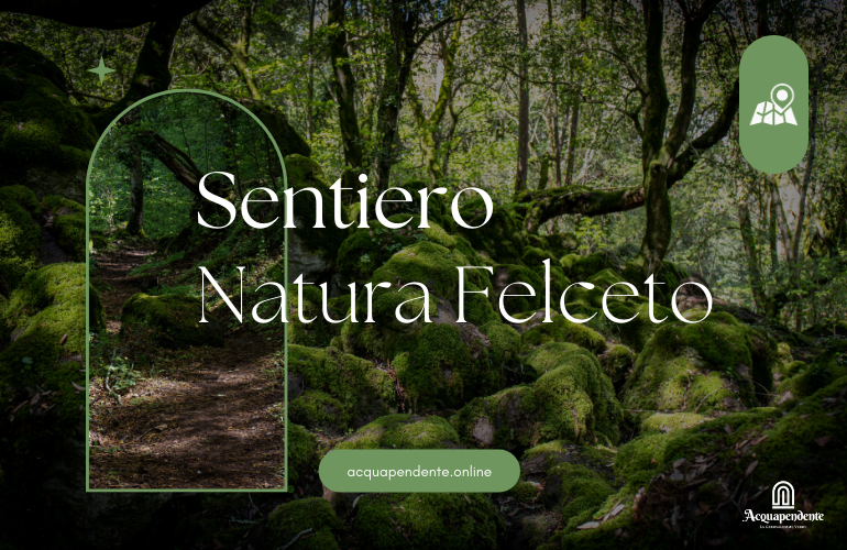 Sentiero Natura Felceto: Storia e Didattica nella Riserva Monte Rufeno