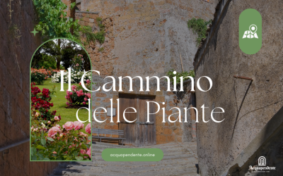 Il Cammino delle Piante: Un Viaggio tra Natura e Città