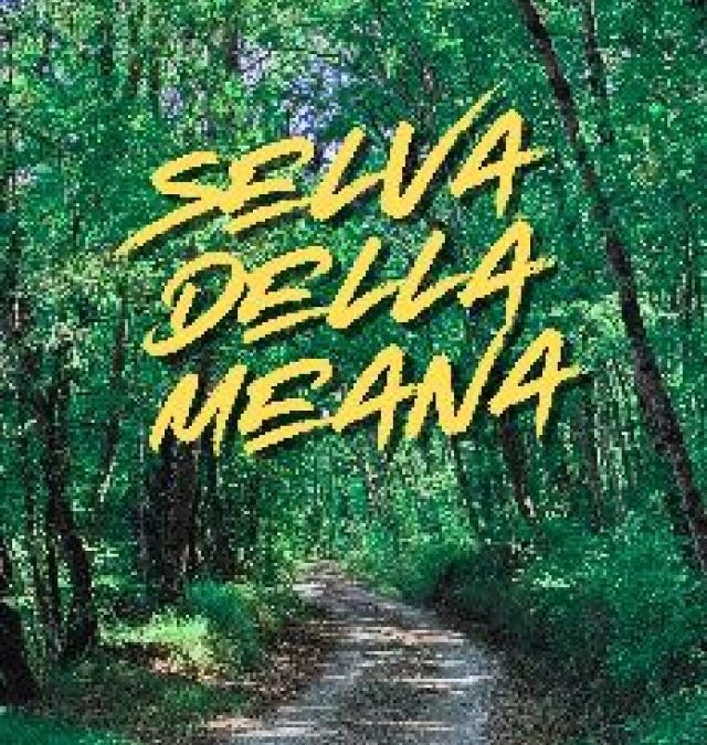 Escursione nella Selva della Meana con @PaoloConsoli