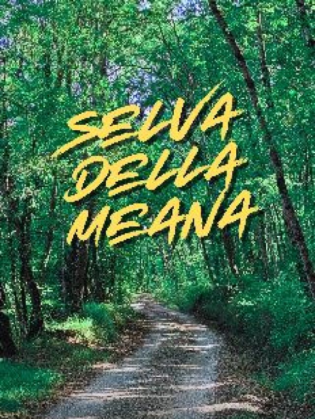 Escursione nella Selva della Meana con @PaoloConsoli