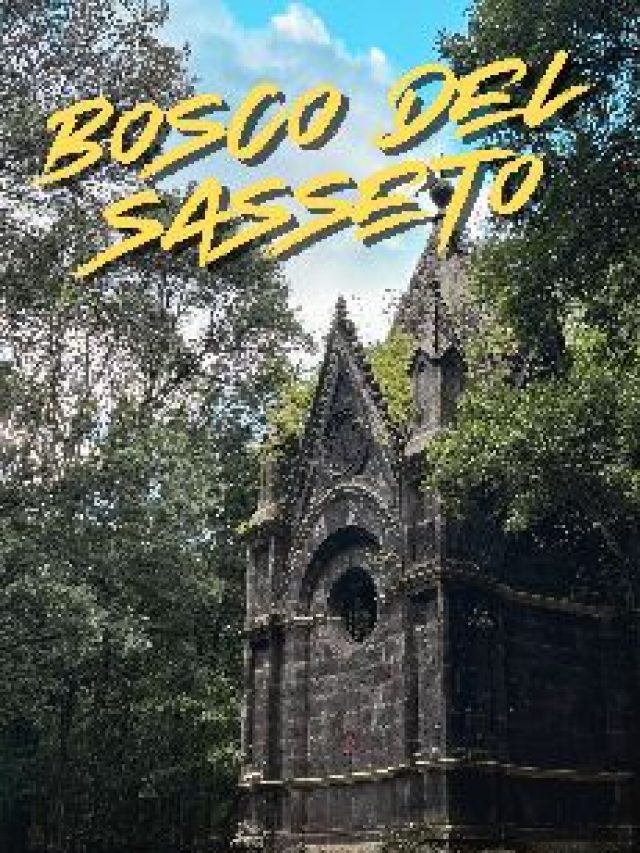 Bosco del Sasseto con @PaoloConsoli