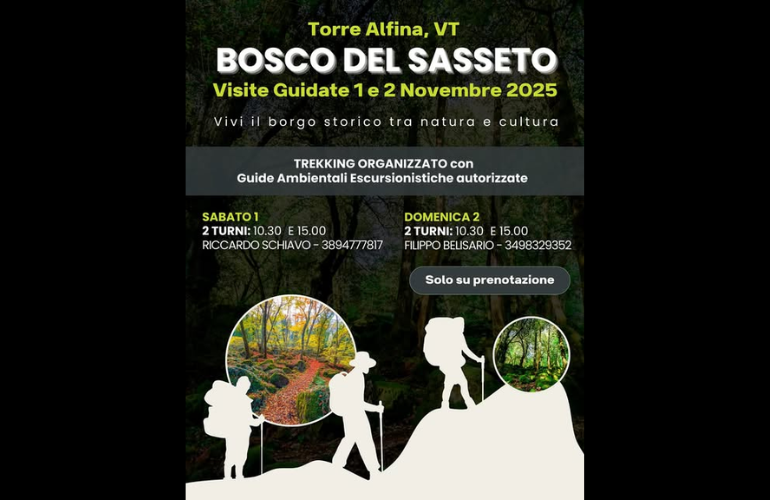 Visite guidate al Bosco del Sasseto – Torre Alfina, 1 e 2 novembre 2025