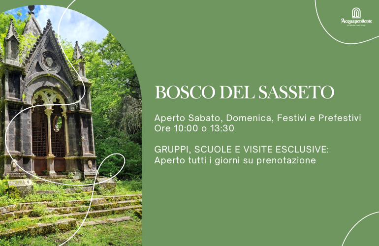 Visite guidate al Bosco del Sasseto anche in questa stagione