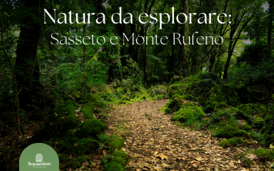 Natura incontaminata: il Bosco del Sasseto e la Riserva di Monte Rufeno
