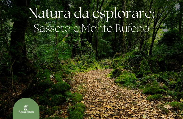 Natura incontaminata: il Bosco del Sasseto e la Riserva di Monte Rufeno