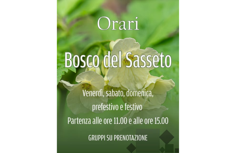 Bosco del Sasseto: il “Bosco delle Fiabe” da visitare ad Acquapendente
