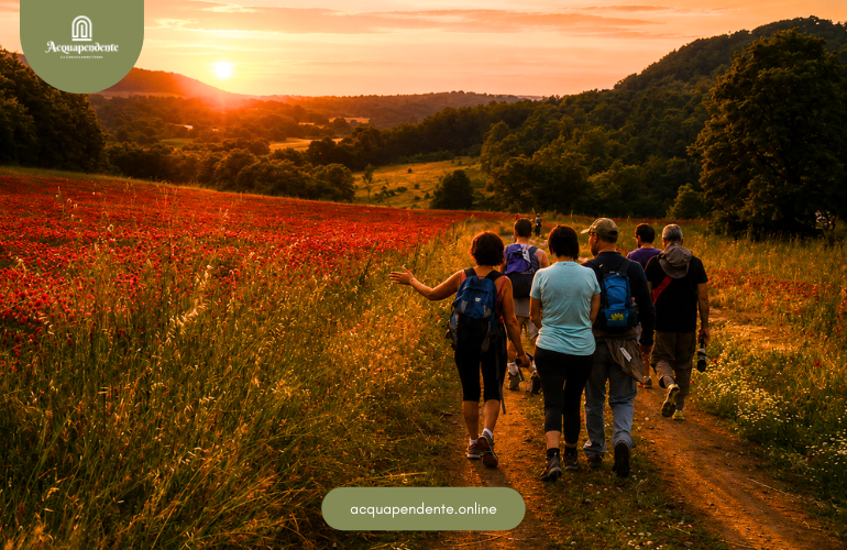 Acquapendente: una tappa speciale sulla Via Francigena