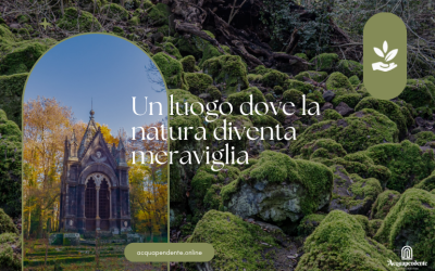 Bosco Monumentale del Sasseto: il bosco incantato dell’Alta Tuscia