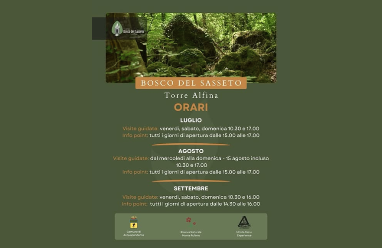 Estate al Bosco del Sasseto: un’oasi di natura nel cuore dell’Alta Tuscia