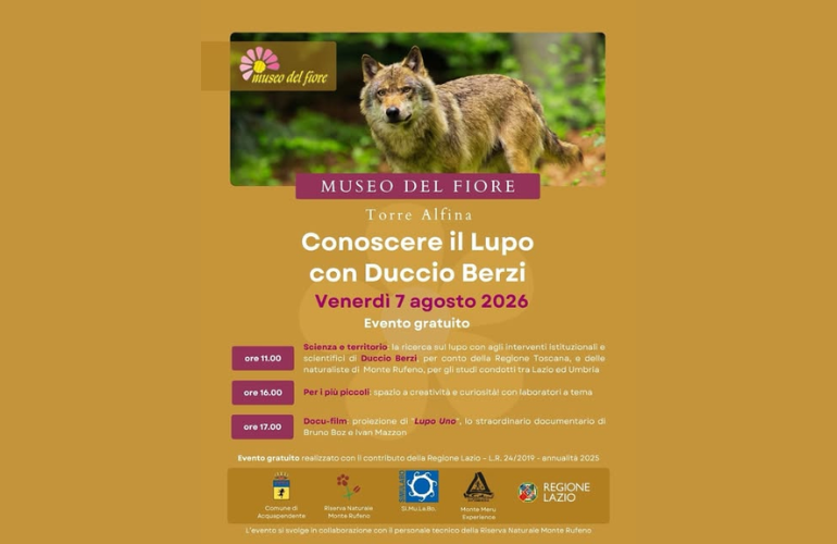 Il lupo al centro di un incontro speciale al Museo del Fiore con Duccio Berzi
