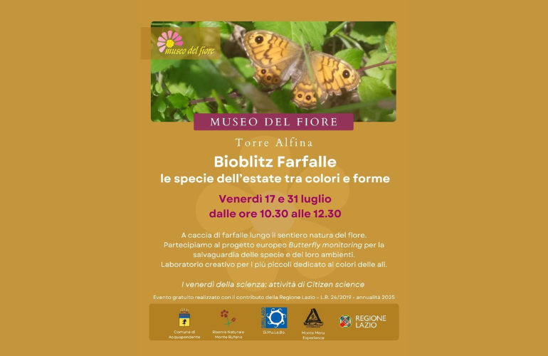 Bioblitz Farfalle: al Museo del Fiore l’ultimo appuntamento de “I venerdì della scienza”