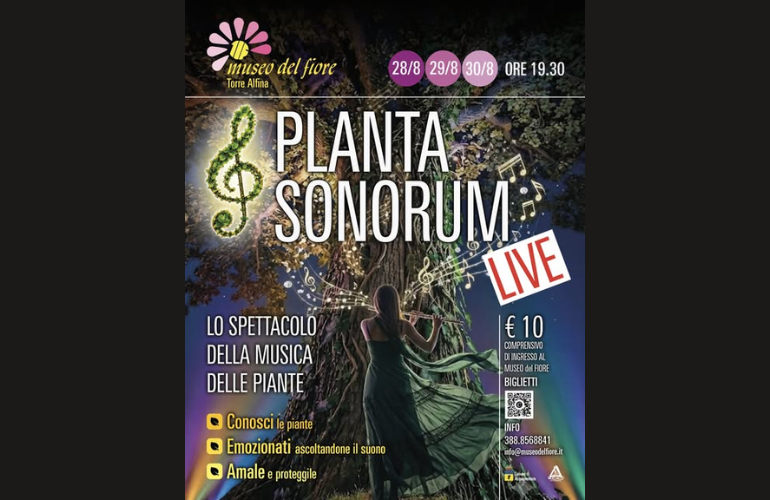 Planta Sonorum LIVE al Museo del Fiore: quando i segnali delle piante diventano musica
