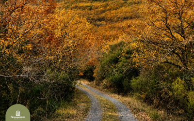 Autunno nella Riserva Naturale Monte Rufeno: alla scoperta dei colori della Tuscia