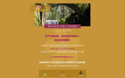 Museo del Fiore: gli orari di apertura per ottobre, novembre e dicembre 2026