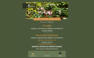 Autunno al Bosco del Sasseto: nuovi orari e due speciali formule combo