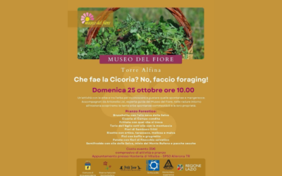 Foraging ed erbe spontanee: il 25 ottobre un’esperienza tra natura e sapori a Villalba