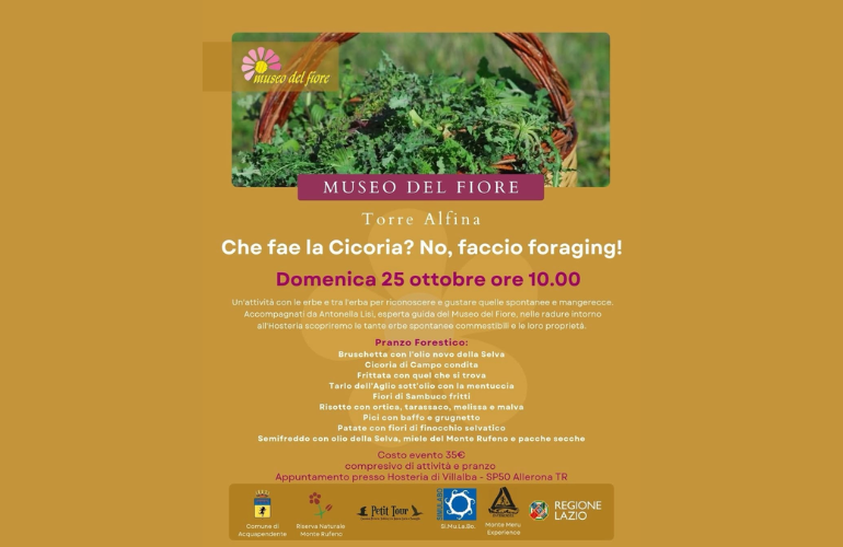 Foraging ed erbe spontanee: il 25 ottobre un’esperienza tra natura e sapori a Villalba